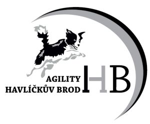 logo_agility